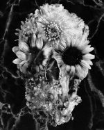 Black And White Floral Skull Paint By Numbers.jpeg