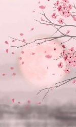 Cherry Blossom Branch Paint By Numbers.jpeg