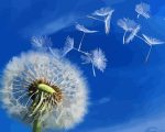 Dandelion Seed Paint By Numbers.jpeg