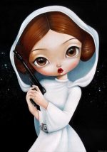 Leia Star Wars Paint By Numbers.jpeg