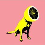 Lemon Dog Paint By Numbers.jpeg