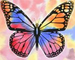 Multicolored Butterfly Paint By Numbers.jpeg