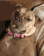 Paint Your Dog.jpeg