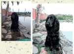 Photo Paint By Numbers.jpeg