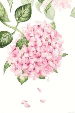 Pink Hydrangea Paint By Numbers.jpeg