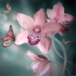 Pink Orchid Paint By Numbers.jpeg