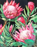 Pink Protea Paint By Numbers.jpeg