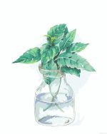 Plant Leaves Vase Paint By Numbers.jpeg