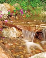 Stream With Waterfall Paint By Numbers.jpeg