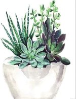 Succulent Pot Paint By Numbers.jpeg