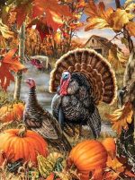 Turkey Birds Paint By Numbers.jpeg