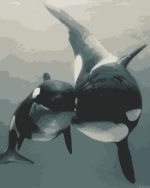Whale Mother And Child Paint By Numbers.jpeg