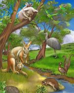 Wild Animals Paint By Numbers.jpeg