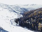 Winter Road Paint By Numbers.jpeg