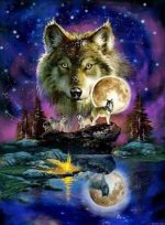 Wolf And Moon Paint By Numbers.jpeg